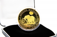 1 oz Elefant Gold 2011 SOMALIA