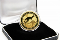 1 oz Känguru Gold Div. AUSTRALIEN - UNSER ANKAUFSPREIS
