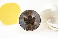 100x 1 oz Maple Leaf Silber 2012 KANADA