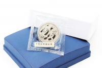 30g Platinpanda in der Originalfolie 2022 CHINA