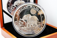 1 Kg Elefant Silber 2011 SOMALIA