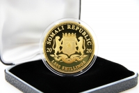 1 oz Elefant Gold 2020 - 2025 SOMALIA - UNSER ANKAUFSPREIS