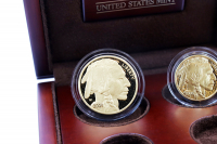 Set American Buffalo Polierte Platte Gold 2008 USA