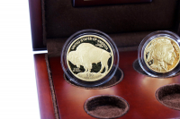 Set American Buffalo Polierte Platte Gold 2008 USA