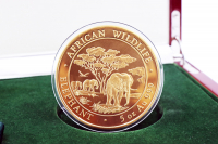 5 oz Elefant Gold 2012 SOMALIA