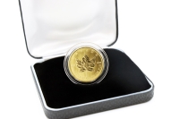 1/2 oz Maple Leaf Gold 2025 KANADA