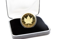 1 oz Maple Leaf Gold Polierte Platte 1989 KANADA