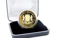 1 oz Elefant Gold 2020 - 2025 SOMALIA - UNSER ANKAUFSPREIS