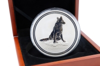 1/2 Kg Lunar I. Hund Silber 2006 AUSTRALIEN