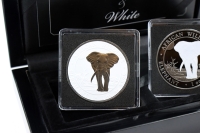 Set Elefant Silber Black and White 2025 SOMALIA