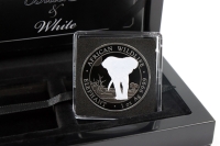 Set Elefant Silber Black and White 2025 SOMALIA