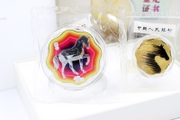 Set Pferd Welle-Blossom Silber - Gold Color in der Folie mit Zettel 2026