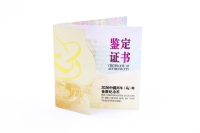 Set Pferd Welle-Blossom Silber - Gold Color in der Folie mit Zettel 2026