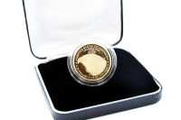 1/2 oz American Eagle Gold Polierte Paltte 2026 USA
