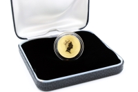 1/4 oz Känguru Gold 1995 AUSTRALIEN