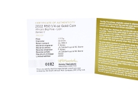 1/4 oz Big Five Löwe Gold PP 2022 SÜDAFRIKA