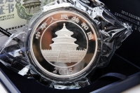 1 Kg Panda Silber PP 2015 CHINA