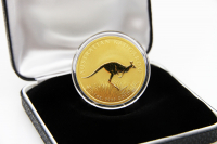 1 oz Känguru Gold 2008 AUSTRALIEN