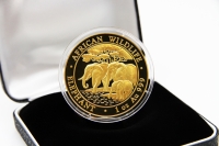 1 oz Elefant Gold 2013 SOMALIA