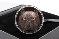 2 oz Jäger der Nacht - Eagle Owl - Uhu - Silber 2021 PALAU