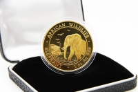 1 oz Elefant Gold 2010 SOMALIA