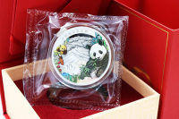 30g Panda - Giant Panda National Park - Silber in der Folie mit Zettel 2023