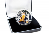 1 oz Fluffy Cat - Somalikatze - Silber  Color mit Edelglas PP 2013 FIJI