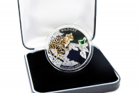 1 oz Wild Cat - Langschwanzkatze - Silber  Color mit Edelglas PP 2013 FIJI