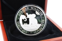 10 oz African Wildlife Elefant Silber 2024 SOMALIA