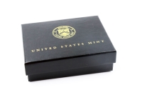 1 oz American Eagle Gold Polierte Paltte 2025 USA
