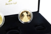 Set American Eagle Polierte Platte Gold 2026 USA