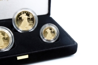 Set American Eagle Polierte Platte Gold 2026 USA